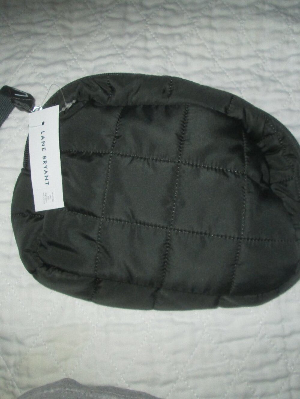 Small Pouch from Lane Bryant